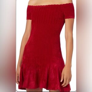 Ronny Kobo XS chenille Karin off sleeve scalloped neckline dress